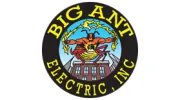Big Ant Electric